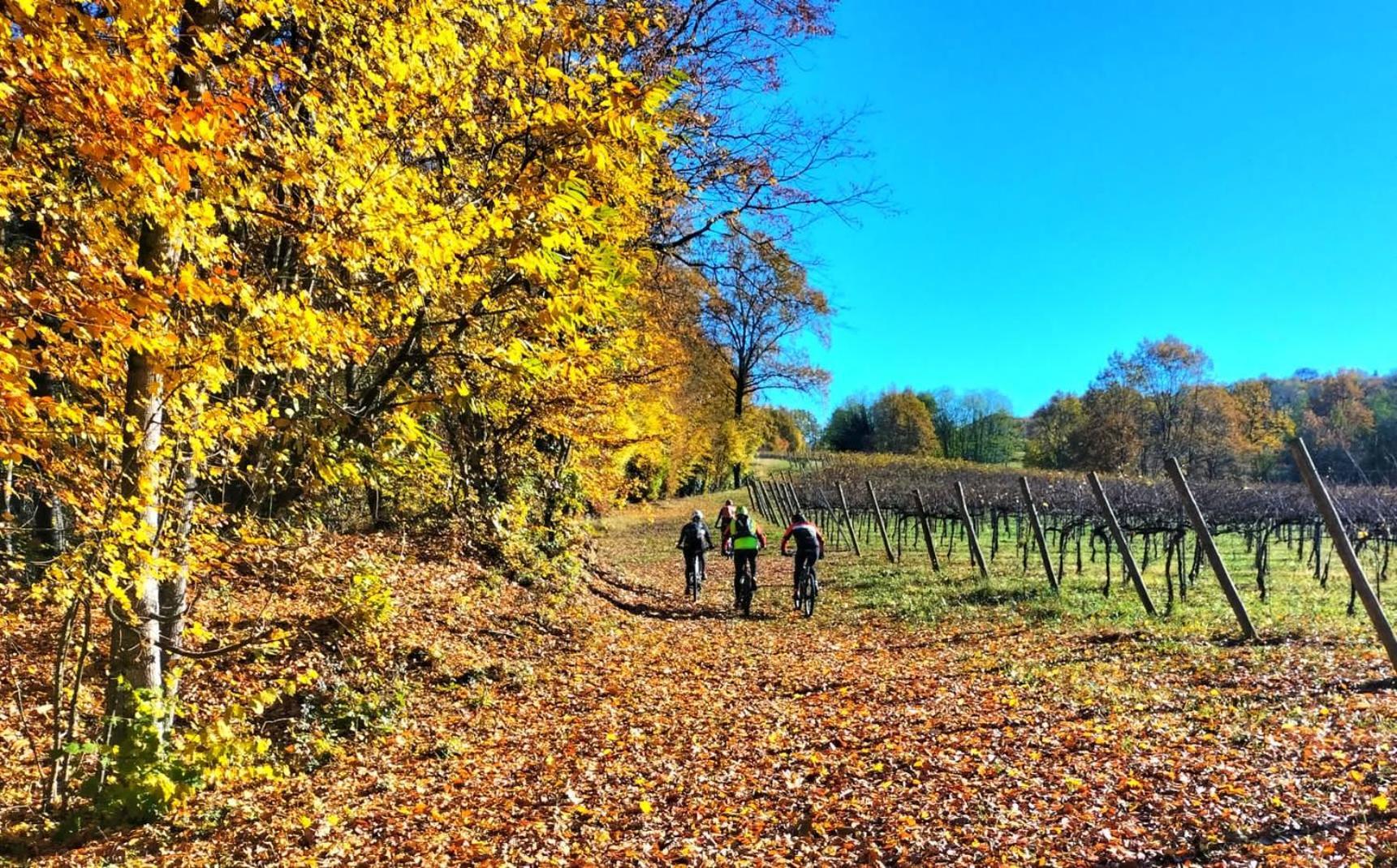 Susegana I Sassi Della Piaveヴィラ エクステリア 写真